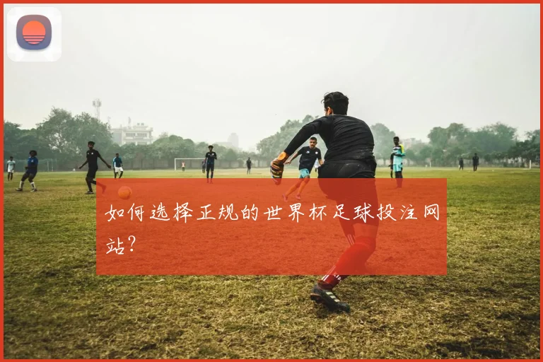如何选择正规的世界杯足球投注网站？