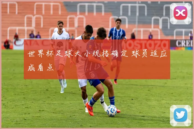 世界杯足球大小规格确定 球员适应成看点