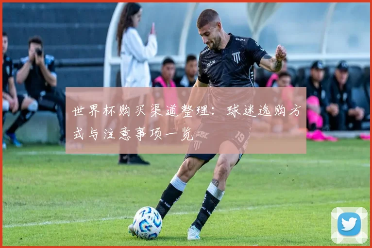 世界杯购买渠道整理：球迷选购方式与注意事项一览