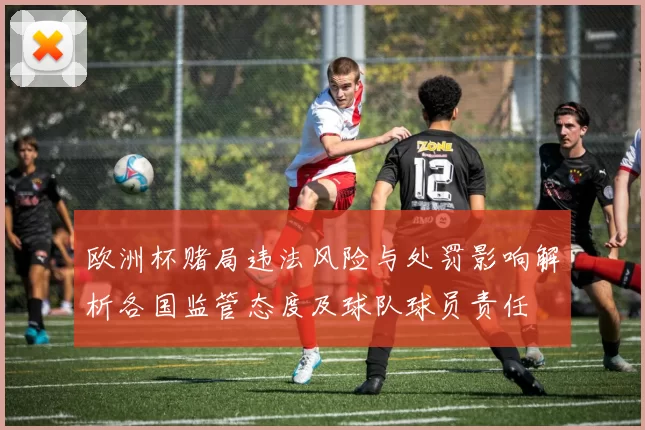 欧洲杯赌局违法风险与处罚影响解析各国监管态度及球队球员责任