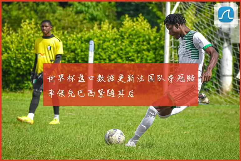世界杯盘口数据更新法国队夺冠赔率领先巴西紧随其后