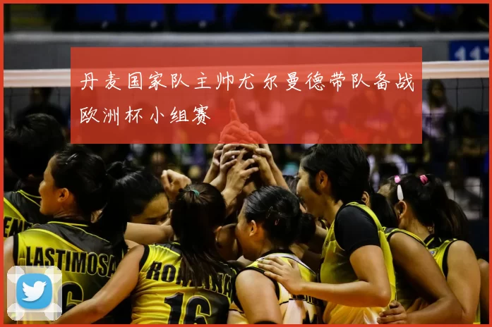 丹麦国家队主帅尤尔曼德带队备战欧洲杯小组赛