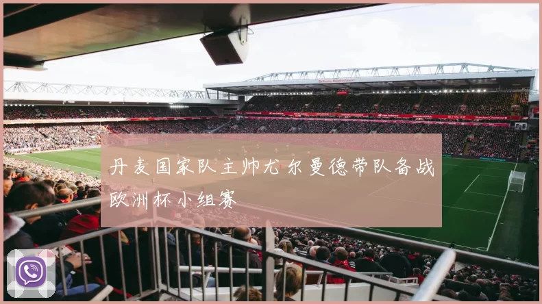 丹麦国家队主帅尤尔曼德带队备战欧洲杯小组赛