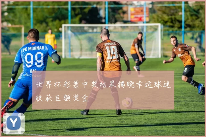 世界杯彩票中奖结果揭晓幸运球迷收获巨额奖金