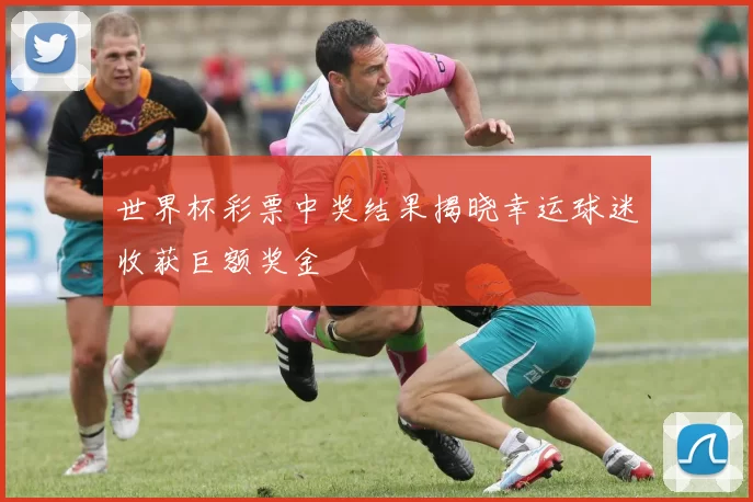 世界杯彩票中奖结果揭晓幸运球迷收获巨额奖金